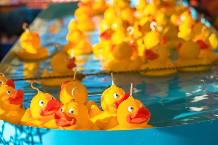 A collection of rubber ducks used for a raffle game