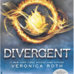 Books like the Hunger Games - Divergent Cover
