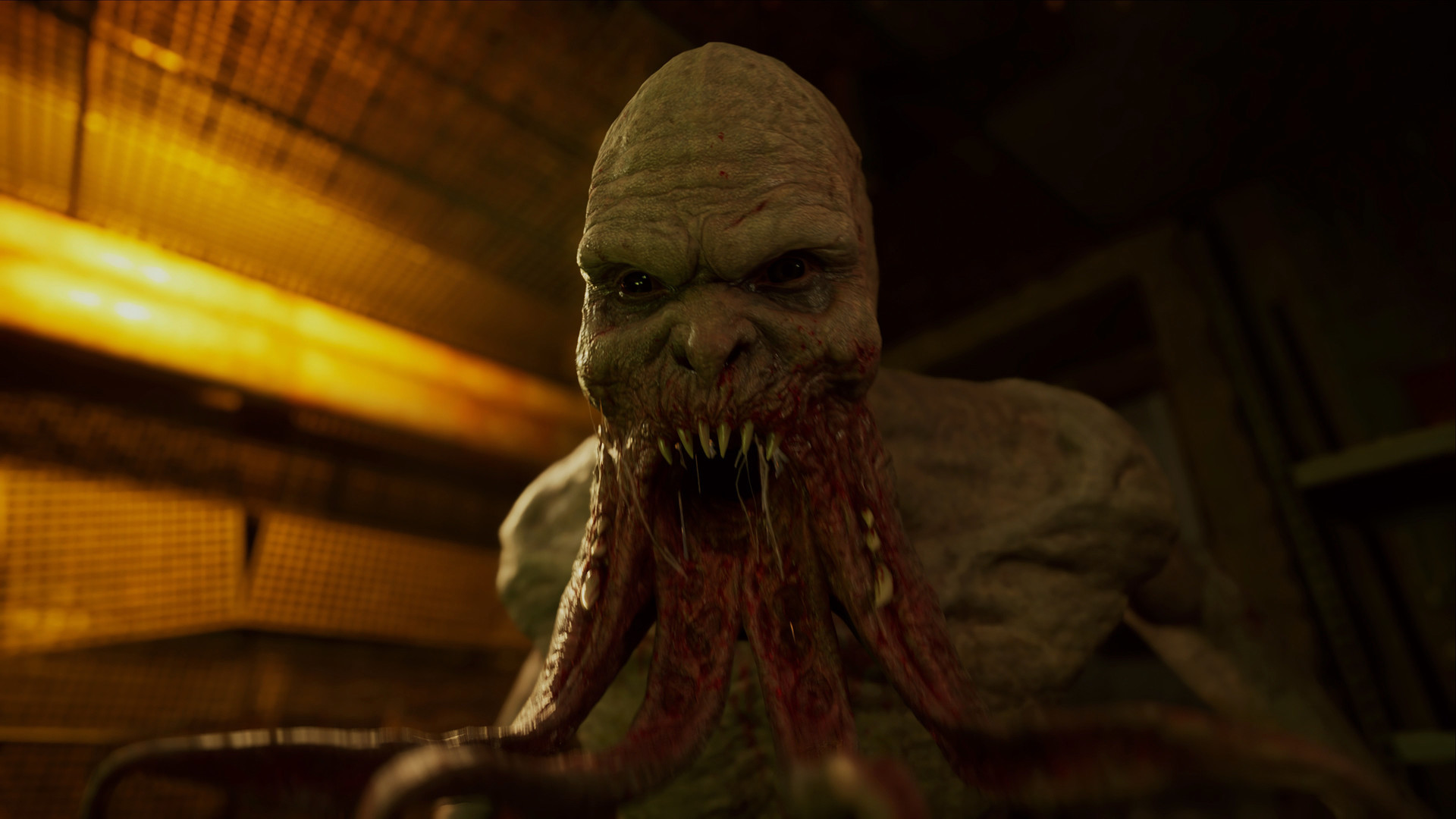 STALKER Series game