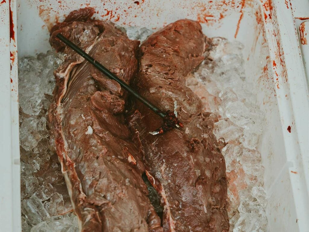 Slabs of wild game meat set on top of ice in a cooler to prevent spoilage and maintain quality.