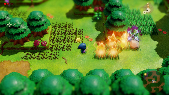 A screenshot from Echoes of Wisdom showing some grass on fire