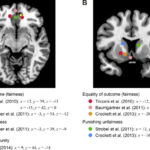 Illustration of a brain showcasing the areas activated during the Ultimatum Game