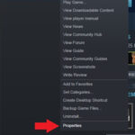 Steam properties menu showing the option to browse local files