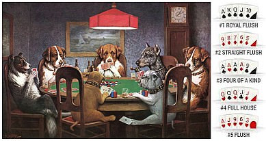 Games to play with a deck of cards between dogs