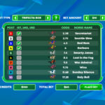 Horse Racing Game Place Bet Screen Screenshot.