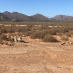 Antelopes laying down at Aquila Safari