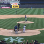 New York Yankees Seats