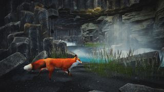 A fox walking past a hidden lake on a mountain during Spirit of the North.