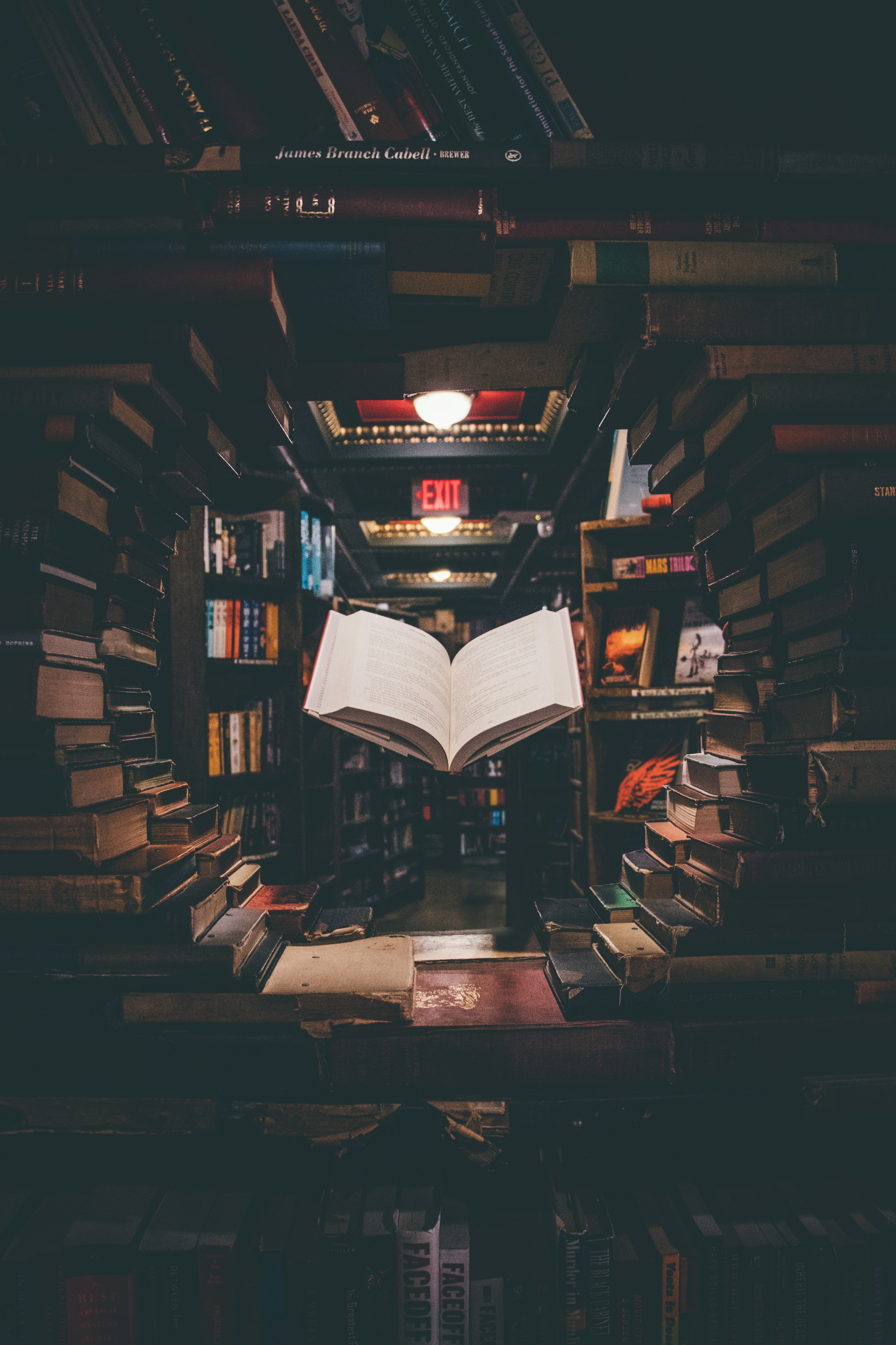 A person surrounded by books and resources, indicating a dedication to further exploration of judgement games