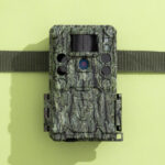 A Bushnell Core S-4K No Glow trail camera.