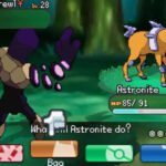 A sample of a battle in a fan-made pokemon game